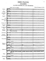 Palmgren, Selim: Der Fluss, Piano Concerto No. 2  Op. 33 Product Image