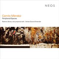 Camilo Méndez: Peripheral Spaces
