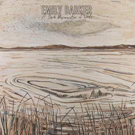 A Dark Murmuration of Words (deluxe Edition)