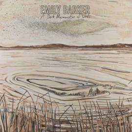 A Dark Murmuration of Words (lp)