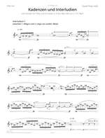 Hefti, David Philip: Cadenzas and Interludes for the Flute Concertos Wq 168 and Wq 22 by C.P.E. Bach Product Image