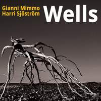Wells