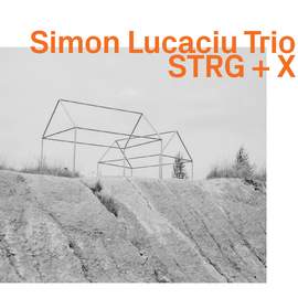 STRG + X