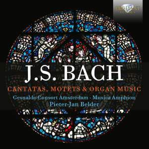JS Bach: Cantatas, Motets & Organ Music (Deluxe Edition)