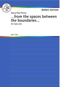 Dana Paul Perna: From the spaces between the.....