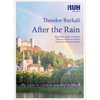 Theodor Burkali: After The Rain