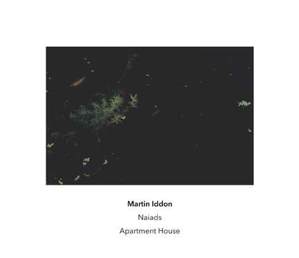 Martin Iddon: Naiads