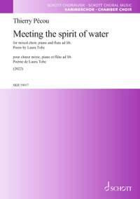 Pécou, T: Meeting the spirit of water