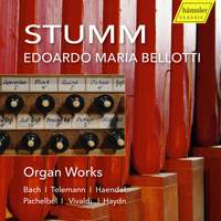 Stumm - Organ Works