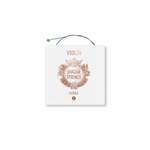 Jargar Evoke Violin E Medium 4/4 Product Image