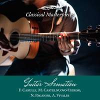 Guitar Sensation: A. Vivaldi,F.Carulli,M.Castelnuovo-Tedeso, N. Paganini