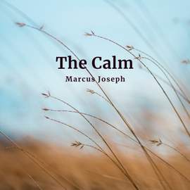 The Calm