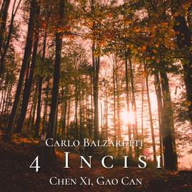 Carlo Balzaretti: 4 Incisi