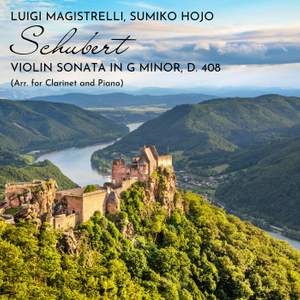 Violin Sonata in G Minor, D. 408