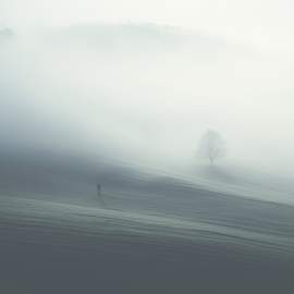 Untamed Beauty