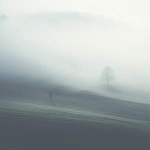 Untamed Beauty