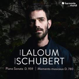 Schubert: Piano Sonata D. 959 - Moments Musicaux D. 780