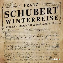 Schubert: Winterreise D911