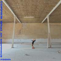 What An Enormous Room (coloured Vinyl)