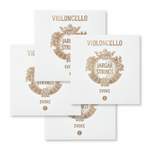 Jargar Evoke Cello Set 4/4 Product Image