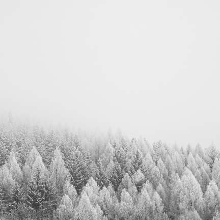 Silent Night