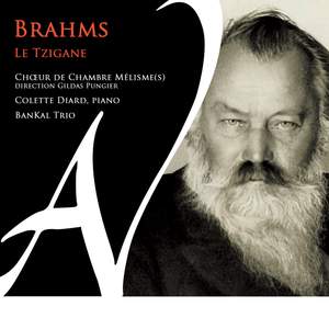 Brahms, le Tzigane