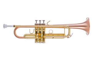 Vincent Bach Bb Trumpet - Student TR355G