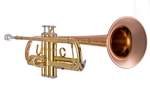 Vincent Bach Bb Trumpet - Student TR355G Product Image