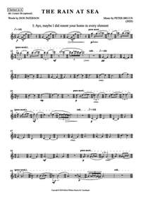 Peter Bruun: The Rain at Sea (Parts)