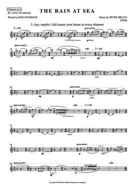 Peter Bruun: The Rain at Sea (Parts)