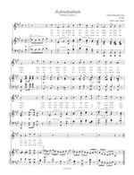 Schubert, Franz: Lieder Book 10 High Voice Product Image
