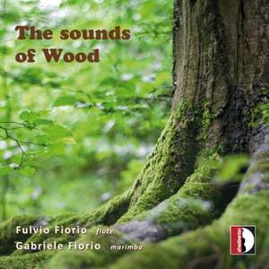The sounds of Wood