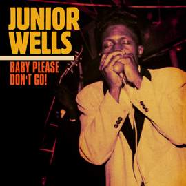 Baby Please Don't Go (2023 Mix)