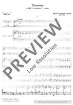 Pepusch, John Christopher: Triosonata e minor Product Image