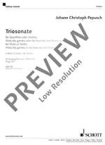 Pepusch, John Christopher: Triosonata e minor Product Image