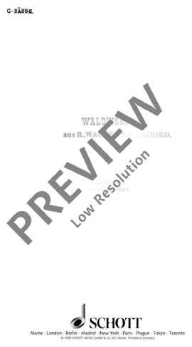 Wagner, Richard: Siegfried WWV 86 C