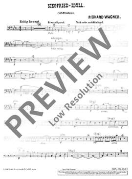 Wagner, Richard: Siegfried-Idyll WWV 103