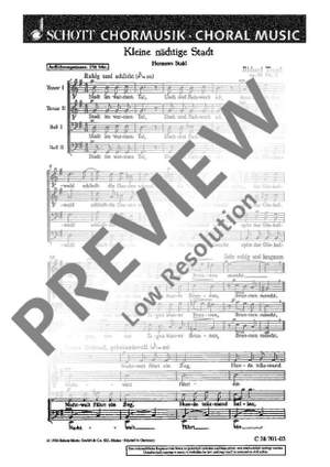 Trunk, Richard: Kleine nächtige Stadt op. 86/3