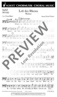Fischer, Ernst: Lob des Rheins