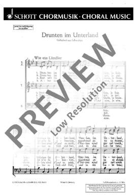 Rein, Walter: Drunten im Unterland
