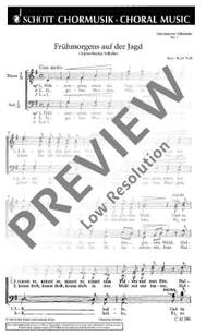 Zoll, P: Frühmorgens auf der Jagd