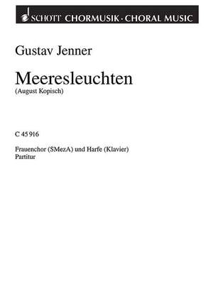 Jenner, Cornelius Uwe Gustav: Meeresleuchten
