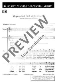 Lang, H: Zogen einst fünf wilde Schwäne