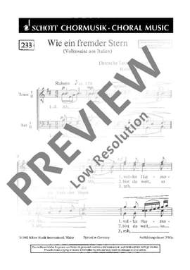 Pappert, Robert: Wie ein fremder Stern