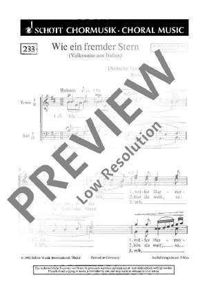 Pappert, Robert: Wie ein fremder Stern