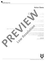 Slama, Anton: 66 Studies Product Image