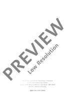 Der Opernsänger Product Image