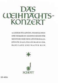 Das Weihnachtskonzert