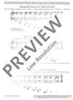 Die Modulation beim Orgelspiel Product Image