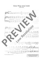 Schumann, Robert: Songs Product Image